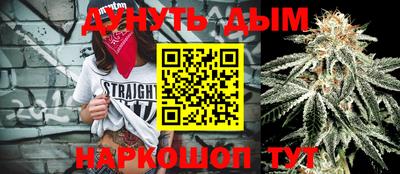 ALPHA PVP Гай